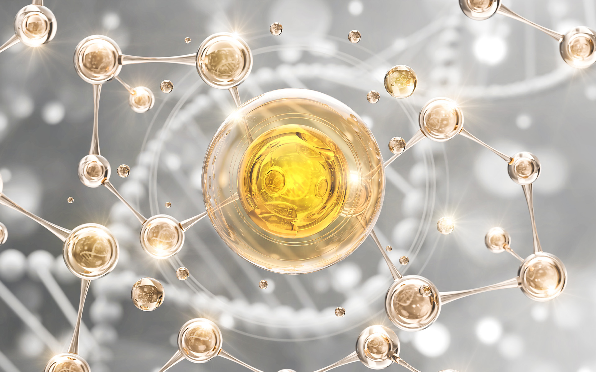 Focus on Anti-aging